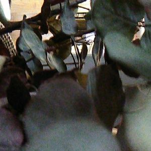 Meet your Posher, Martin